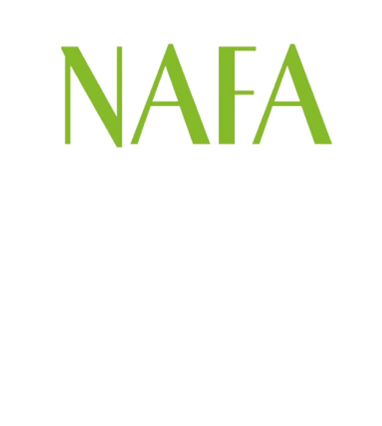 NAFA- Steidinger & Schmidt Gmbh Lieferant NAFA - Steidinger & Schmidt Gmbh Lieferant