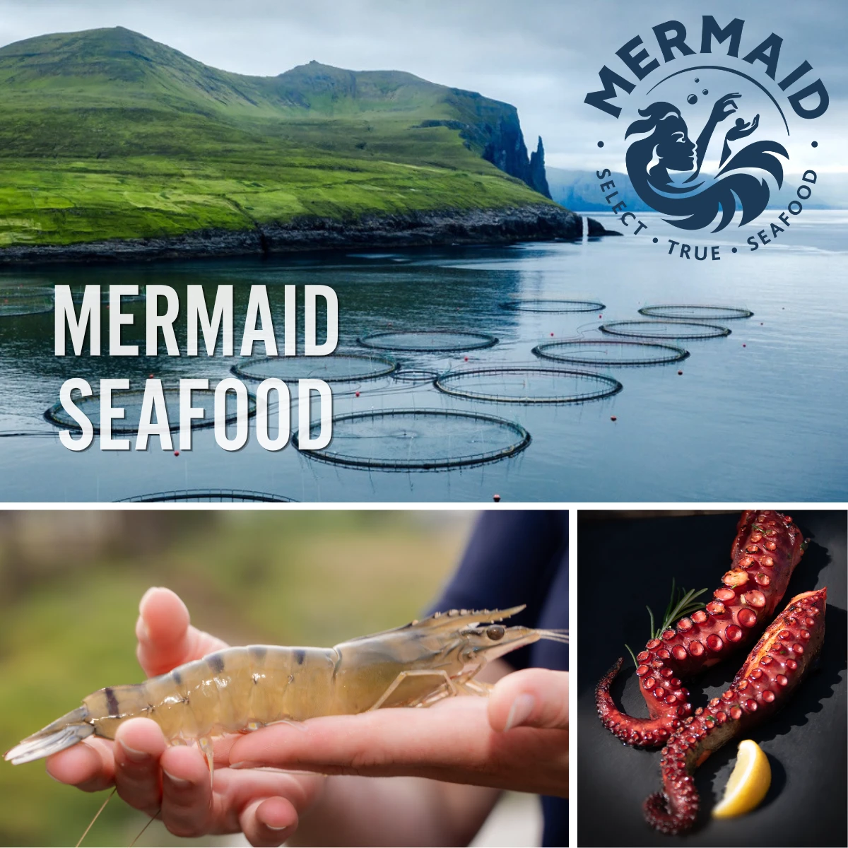 Collage von Meeresfrüchten