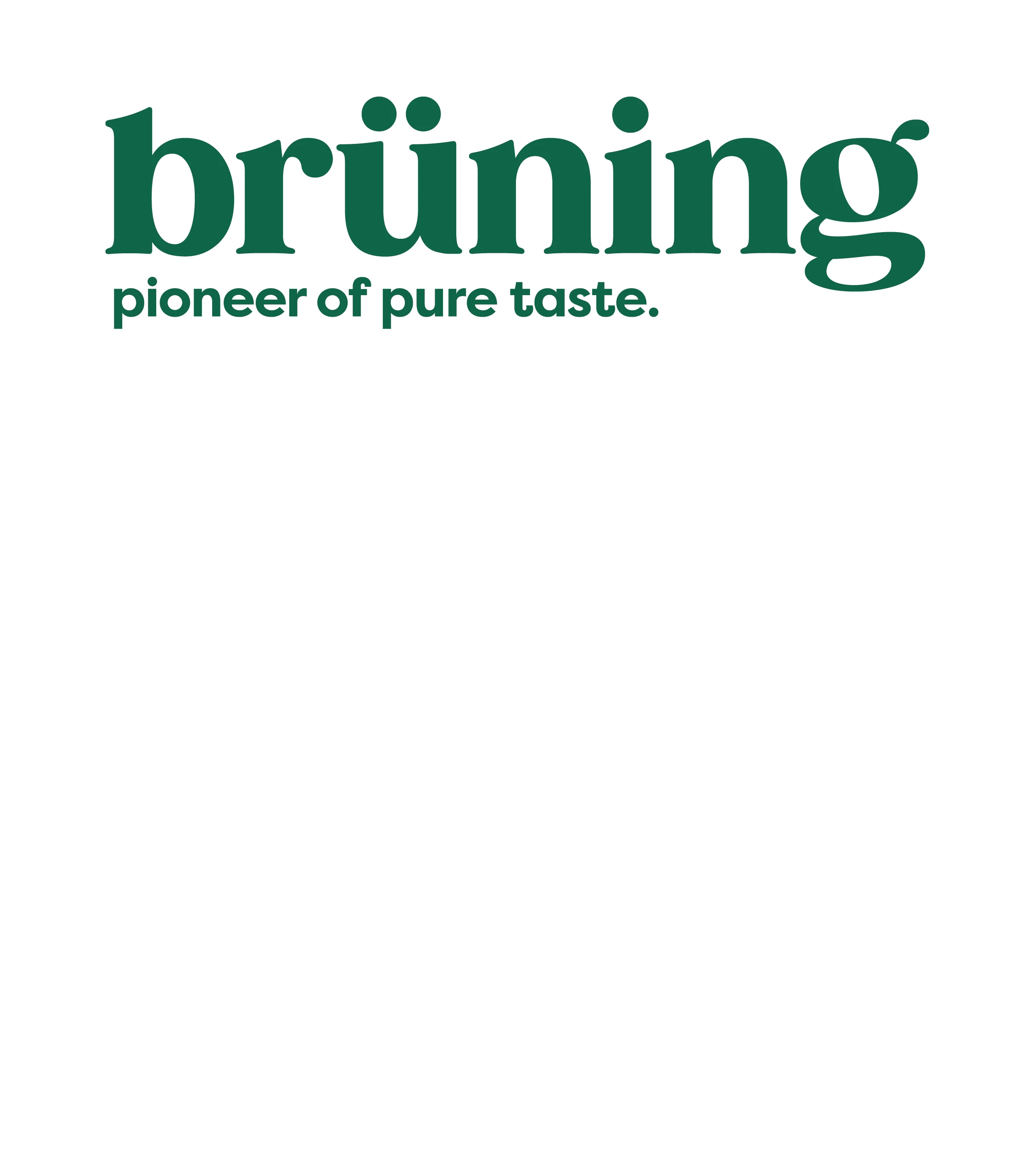 Heinrich Brüning Heinrich Brüning Logo